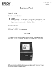 Epson KDS Expansion Box KD-IB01 KDS Quick User Manual - Bump and Print