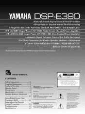 Yamaha DSP-E390 Owner's Manual