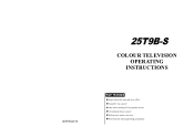 Haier 25T9B-S User Manual