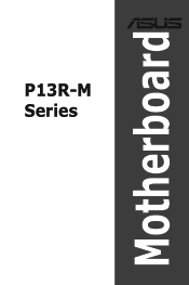 Asus P13R-M/10G-2T Series User Manual