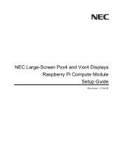 NEC V484 Raspberry Pi Compute Module Setup Guide